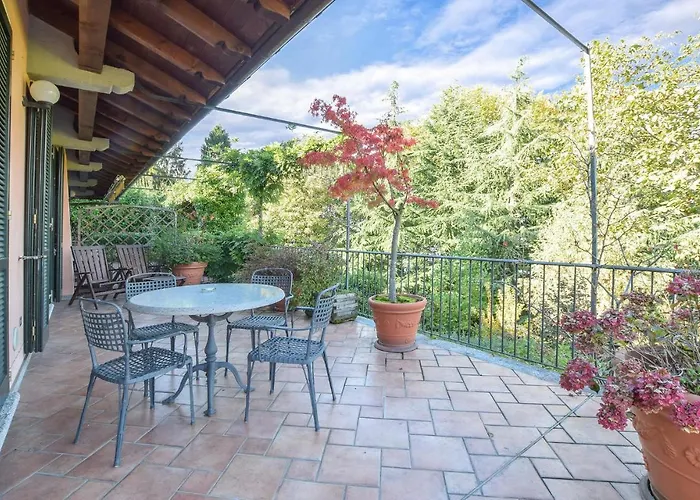 Azalea * ستريزا