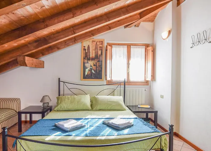 Azalea * ستريزا